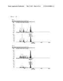 SIRNA CONJUGATE AND PREPARATION METHOD THEREOF diagram and image