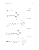 SIRNA CONJUGATE AND PREPARATION METHOD THEREOF diagram and image