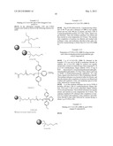 SIRNA CONJUGATE AND PREPARATION METHOD THEREOF diagram and image