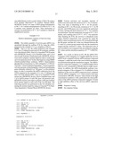 SIRNA CONJUGATE AND PREPARATION METHOD THEREOF diagram and image