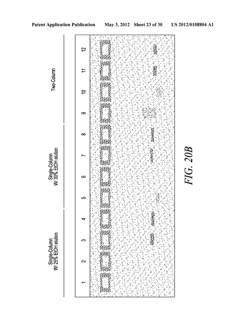 COMPOSITIONS AND METHODS FOR PREPARING SHORT RNA MOLECULES AND OTHER     NUCLEIC ACIDS - diagram, schematic, and image 24