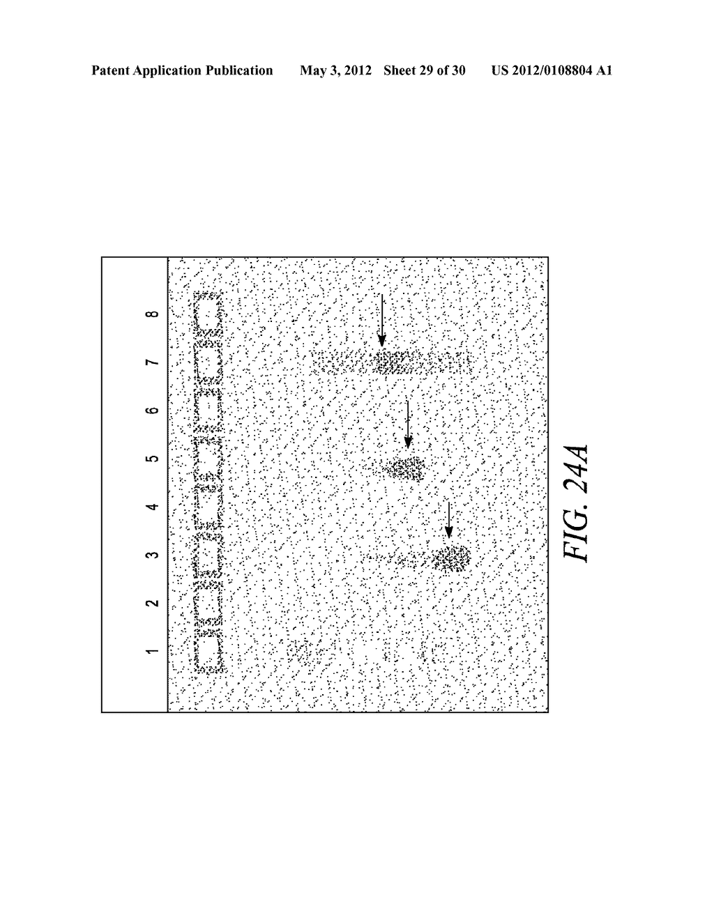 COMPOSITIONS AND METHODS FOR PREPARING SHORT RNA MOLECULES AND OTHER     NUCLEIC ACIDS - diagram, schematic, and image 30