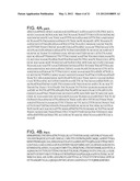 INCREASED EXPRESSION OF TRANSHYDROGENASE GENES AND THEIR USE IN ETHANOL     PRODUCTION diagram and image