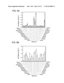 INCREASED EXPRESSION OF TRANSHYDROGENASE GENES AND THEIR USE IN ETHANOL     PRODUCTION diagram and image