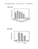 INCREASED EXPRESSION OF TRANSHYDROGENASE GENES AND THEIR USE IN ETHANOL     PRODUCTION diagram and image