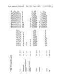 INCREASED EXPRESSION OF TRANSHYDROGENASE GENES AND THEIR USE IN ETHANOL     PRODUCTION diagram and image