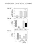 INCREASED EXPRESSION OF TRANSHYDROGENASE GENES AND THEIR USE IN ETHANOL     PRODUCTION diagram and image