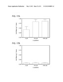 INCREASED EXPRESSION OF TRANSHYDROGENASE GENES AND THEIR USE IN ETHANOL     PRODUCTION diagram and image