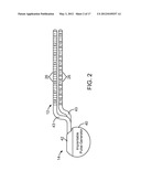 SYSTEM AND METHOD FOR PROVIDING FLUID REAL-TIME VISUALIZATION OF REGION OF     TISSUE ACTIVATION diagram and image