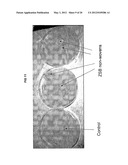 ANTIMICROBIAL COATINGS diagram and image