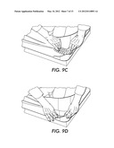 BEDBUG DETECTION DEVICE AND METHOD diagram and image