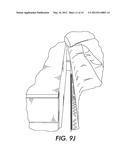 BEDBUG DETECTION DEVICE AND METHOD diagram and image