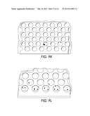 BEDBUG DETECTION DEVICE AND METHOD diagram and image