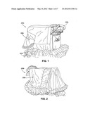 Protective cover for a stroller diagram and image