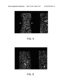 SOLAR CELL AND METHOD OF MANUFACTURING THE SAME diagram and image