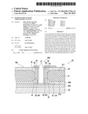 Sensor Element Having Through-Hole Plating diagram and image