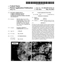 Blending Improvement Carbon-Composite having Carbon-Nanotube and its     Continuous Manufacturing Method and Apparatus diagram and image