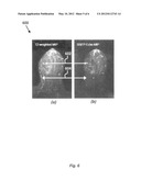 T2-weighted and diffusion-weighted imaging using fast acquisition with     double echo (FADE) diagram and image