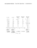 IMMERSION MICROSCOPE OBJECTIVE diagram and image