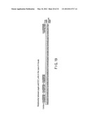 SEMICONDUCTOR MEMORY DEVICE WITH IMPROVED ECC EFFICIENCY diagram and image