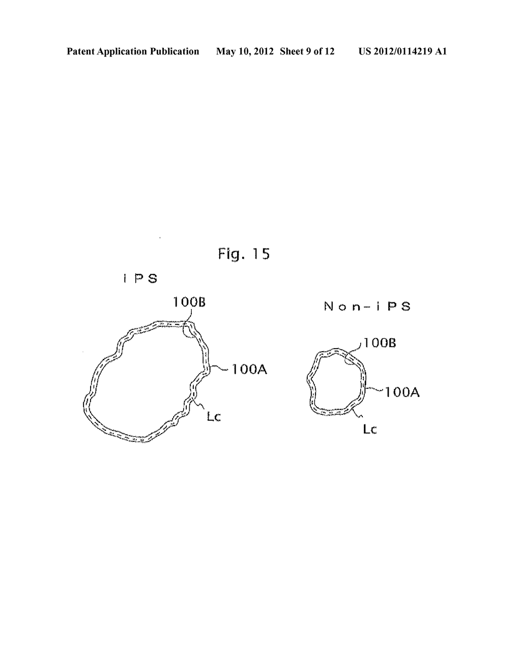 IMAGE PROCESSING APPARATUS, INCUBATION OBSERVING APPARATUS, AND IMAGE     PROCESSING METHOD - diagram, schematic, and image 10