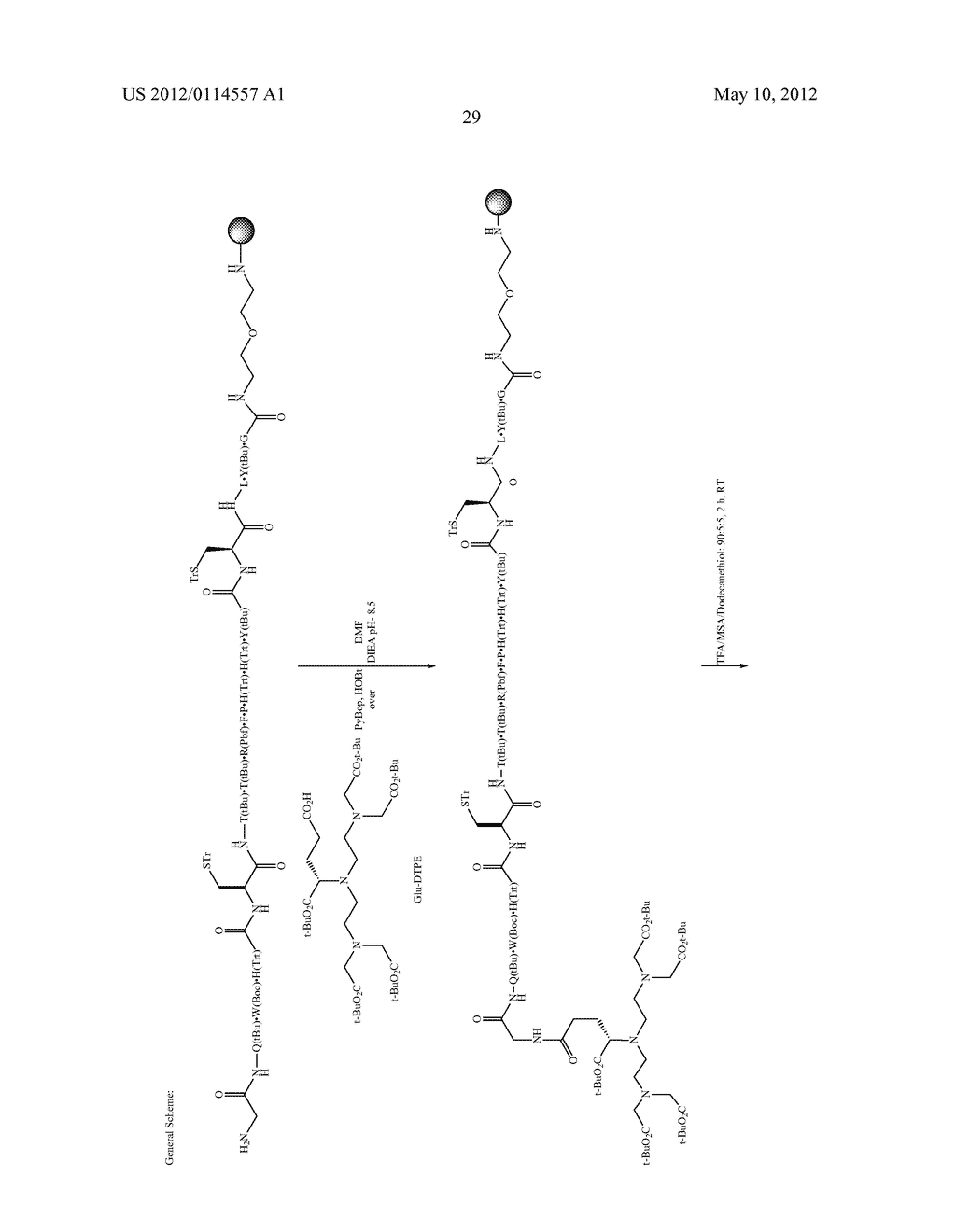 Methods for Collagen Imaging - diagram, schematic, and image 38