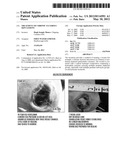 TREATMENT OF CHRONIC ULCEROUS SKIN LESIONS diagram and image