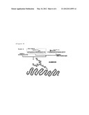 SUGAR CHAIN-ADDED AILIM EXTRACELLULAR DOMAIN AND METHOD FOR PRODUCING SAME diagram and image