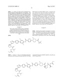 NOVEL INHIBITORS OF HEPATITIS C VIRUS diagram and image