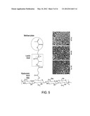 HYDROLYTICALLY DEGRADABLE POLYSACCHARIDE HYDROGELS diagram and image