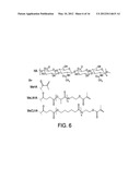 HYDROLYTICALLY DEGRADABLE POLYSACCHARIDE HYDROGELS diagram and image