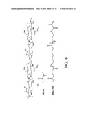 HYDROLYTICALLY DEGRADABLE POLYSACCHARIDE HYDROGELS diagram and image