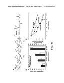 HYDROLYTICALLY DEGRADABLE POLYSACCHARIDE HYDROGELS diagram and image