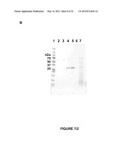 VARIANTS OF PLASMINOGEN AND PLASMIN diagram and image