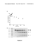 VARIANTS OF PLASMINOGEN AND PLASMIN diagram and image