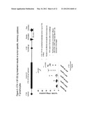 COMPOSITIONS OF PD-1 ANTAGONISTS AND METHODS OF USE diagram and image