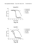 ANTI-PAI-1 ANTIBODIES AND METHODS OF USE THEREOF diagram and image