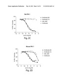 ANTI-PAI-1 ANTIBODIES AND METHODS OF USE THEREOF diagram and image