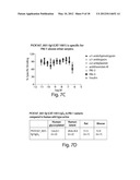 ANTI-PAI-1 ANTIBODIES AND METHODS OF USE THEREOF diagram and image