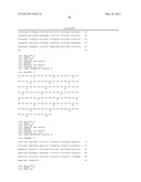 ANTI-PAI-1 ANTIBODIES AND METHODS OF USE THEREOF diagram and image