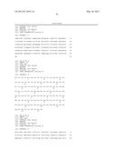 ANTI-PAI-1 ANTIBODIES AND METHODS OF USE THEREOF diagram and image