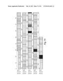 ANTI-PAI-1 ANTIBODIES AND METHODS OF USE THEREOF diagram and image