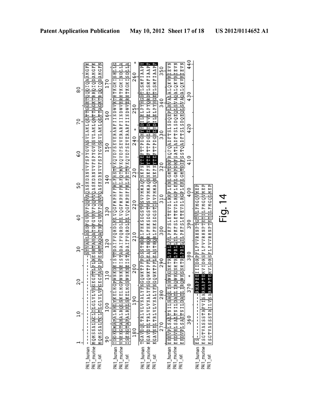 ANTI-PAI-1 ANTIBODIES AND METHODS OF USE THEREOF - diagram, schematic, and image 18