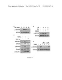 THERAPEUTIC AGENTS FOR THE TREATMENT OF DISEASES ASSOCIATED WITH UNDESIRED     CELL PROLIFERATION diagram and image