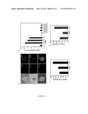 THERAPEUTIC AGENTS FOR THE TREATMENT OF DISEASES ASSOCIATED WITH UNDESIRED     CELL PROLIFERATION diagram and image