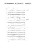 Antibodies Specific to Cadherin-17 diagram and image