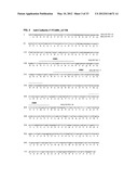 Antibodies Specific to Cadherin-17 diagram and image