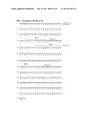 Antibodies Specific to Cadherin-17 diagram and image