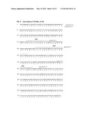 Antibodies Specific to Cadherin-17 diagram and image