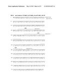 Antibodies Specific to Cadherin-17 diagram and image